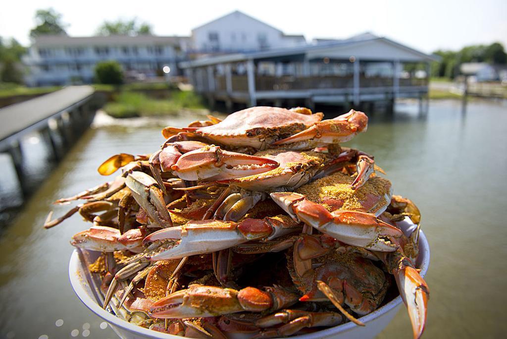 Chesapeake House Tilghman Island Екстериор снимка